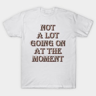 Not a lot going on at the moment T-Shirt